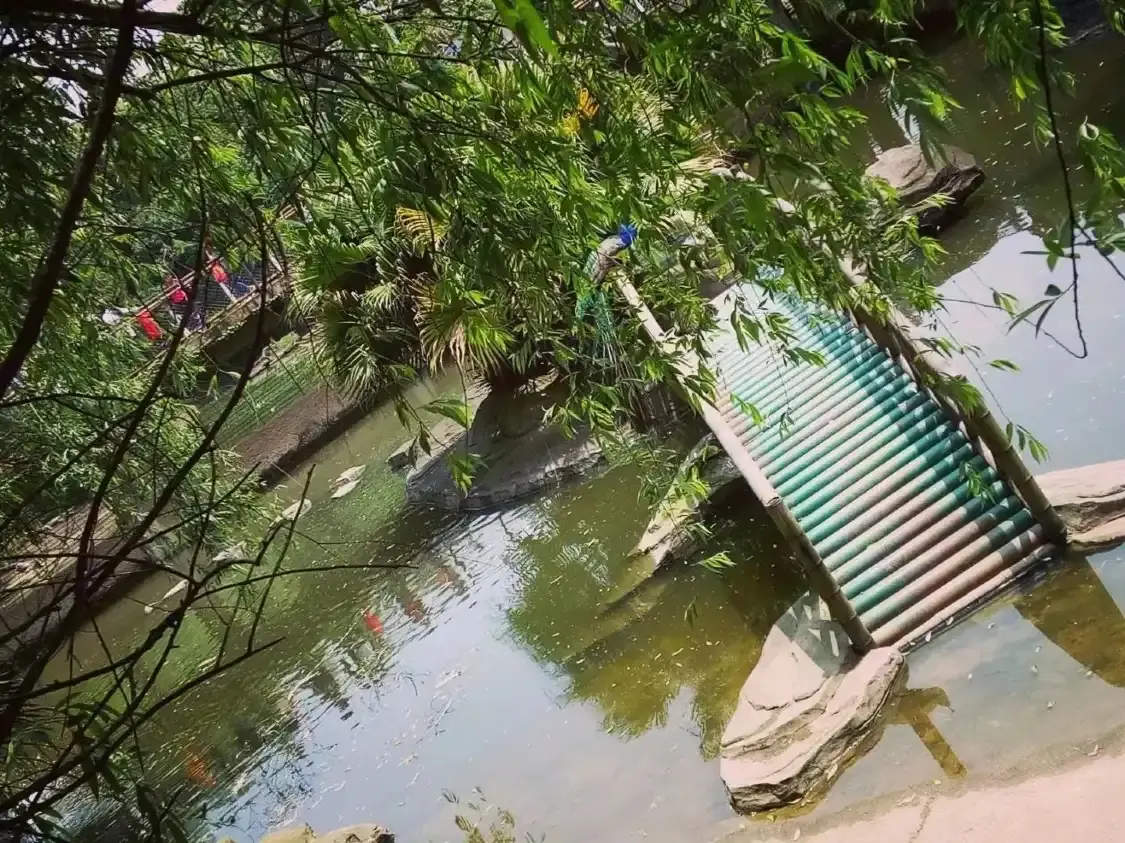 鱷魚湖附近的飯店