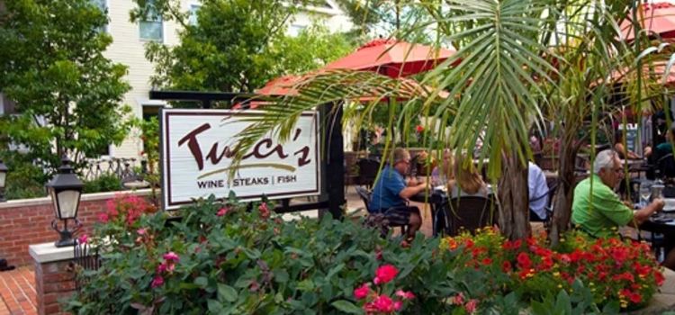 Tucci's
