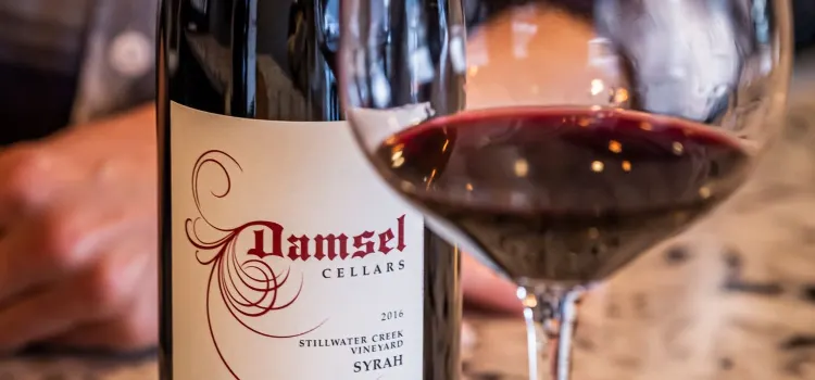 Damsel Cellars - Hollywood Hill