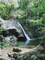 Shimenchong Ecology Tourism Sceneic Area