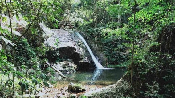 Shimenchong Ecology Tourism Sceneic Area
