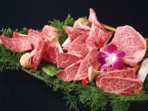 Matsusakagyu Yakiniku M HOZENJI YOKOCHO