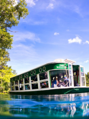 Glass Bottom Boat Tours at Silver Springs