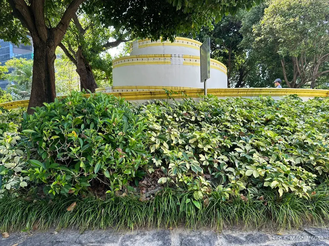 3_Jardim da Montanha Russa