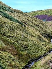 Snake Pass Summit