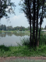 Bosque de Tláhuac