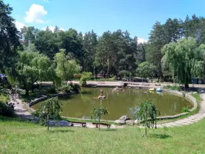 Pine Forest Park