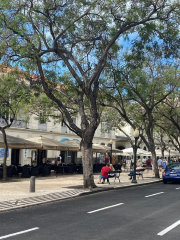 Centro città di Funchal