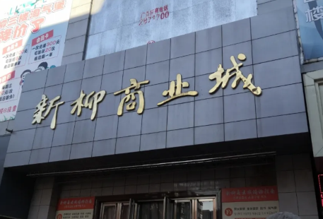 Dandong Xinliu Commercial City