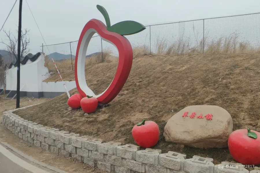 Zhenshun Apple Orchard