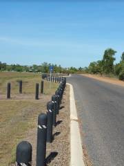 Casuarina Beach Dog Park