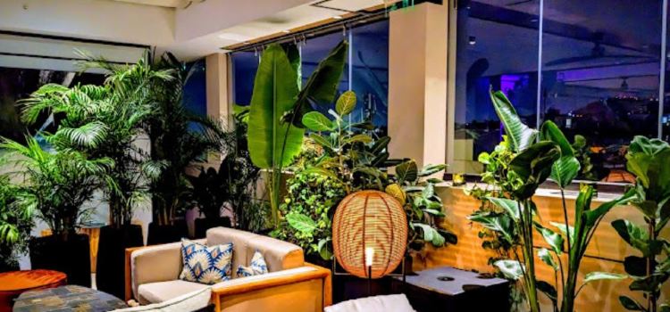 NYX Rooftop Japanese Fusion Gastrobar