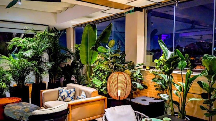 NYX Rooftop Japanese Fusion Gastrobar