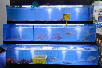 晨屿曦民宿·海鲜食坊