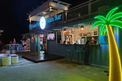 Palm Bar & Bistro 棕游吧