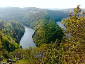 Viewpoint Máj