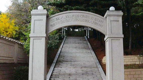 People's Volunteer Army