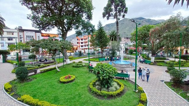 Palomino Flores (Central Park)