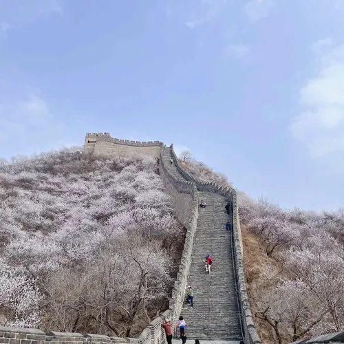 Juyongguan Flower Sea