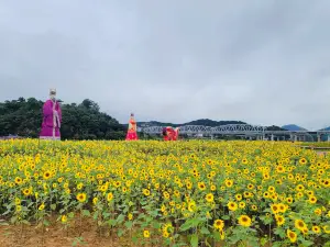 Geumgang Dunchi Park