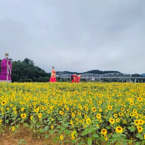 금강둔치공원