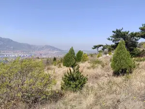 雲林華山