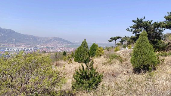 Yunlin