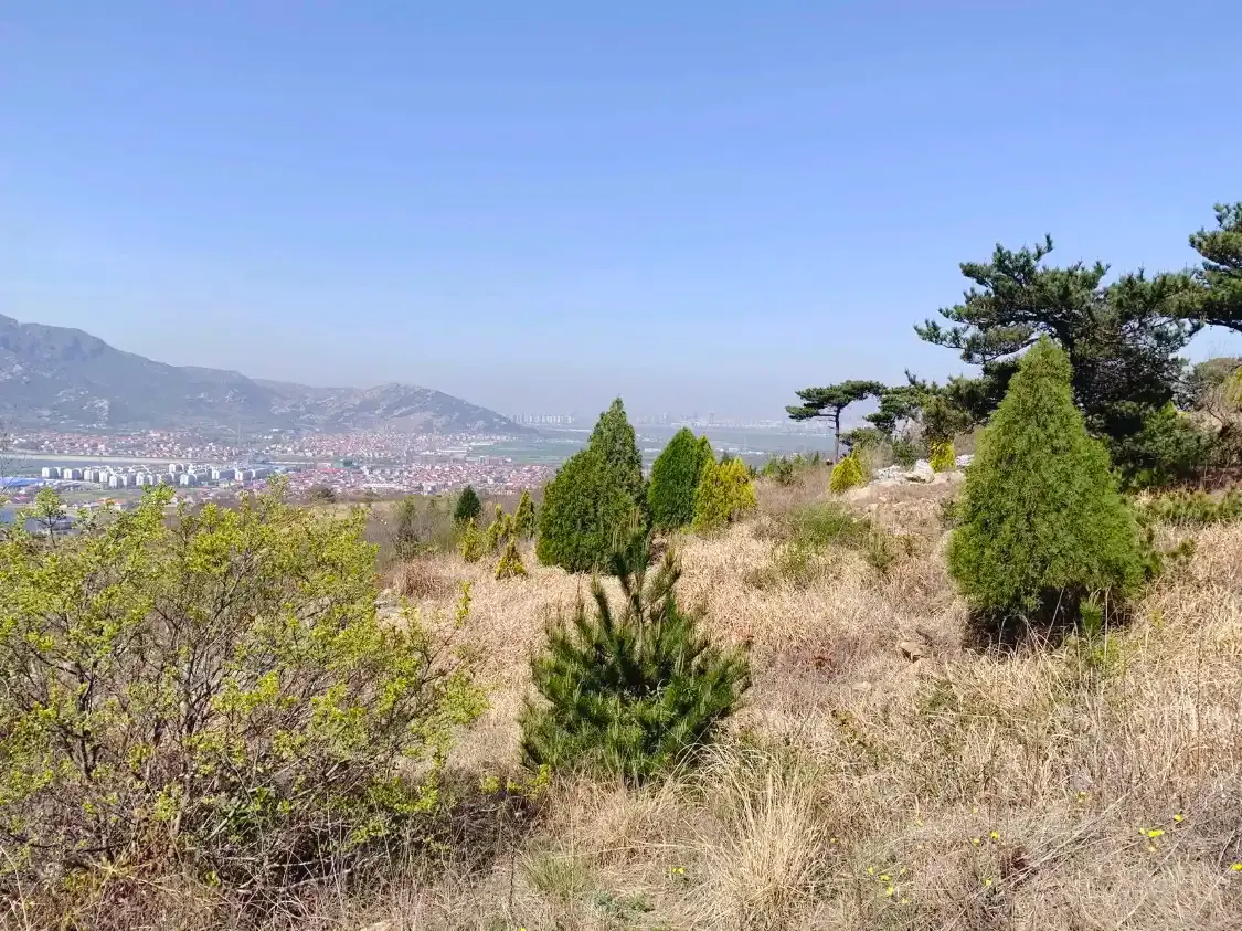 Hotels near Yunlinhua Mountain