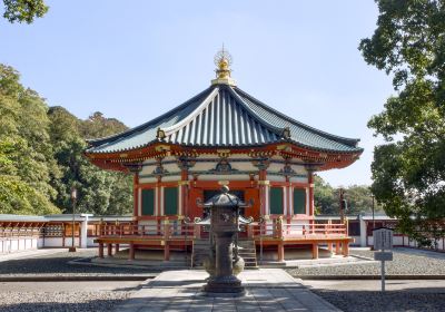 Narita-san
