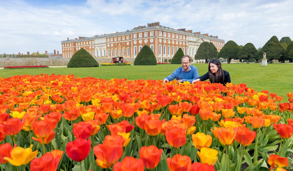Hampton Court Palace Tulip Festival | East Molesey
