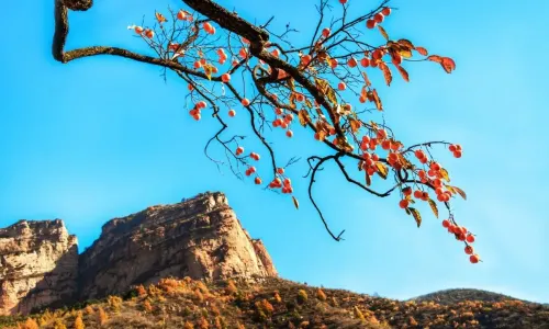 Huangyadong Scenic Area