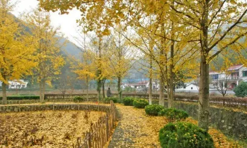 Fenghuang Mountain Scenic Area