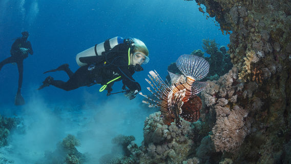 Frogman Divingcenter