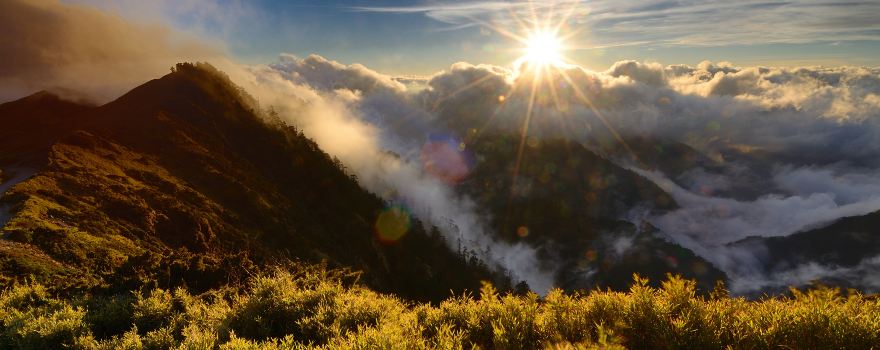 台湾云林旅游景点攻略懒人包:北港朝天宫、云林 101、莿桐花海、布袋戏文化馆 台湾云林旅游景点攻略懒人包:北港朝天宫、云林 101、莿桐花海、布袋戏文化馆