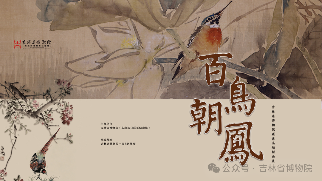 《百鳥朝鳳》吉林省博物院藏禽鳥題材畫展 | 吉林省博物院