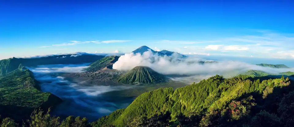 4_爪哇島