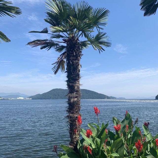 [마산에서 즐기는 간접 제주도 체험]