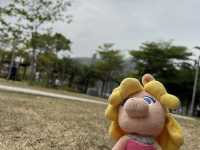 青衣野餐公園好去處