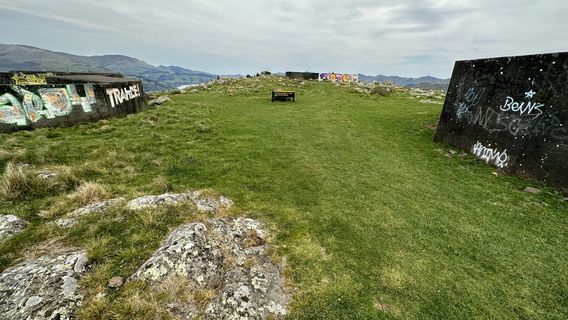 Mount Pleasant Gun Emplacements