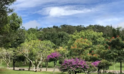 Meizi Lake Park