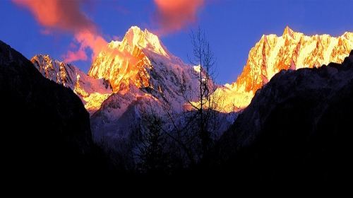 Hailuogou Glacier Forest Park