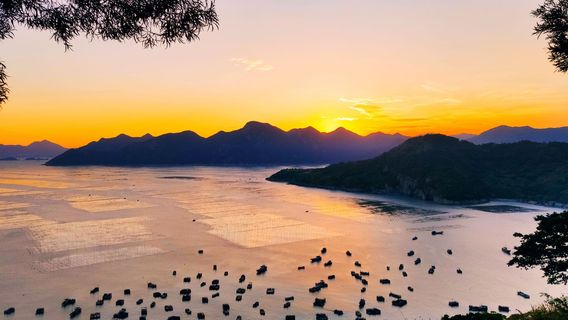 Сяо Цуй Цуй