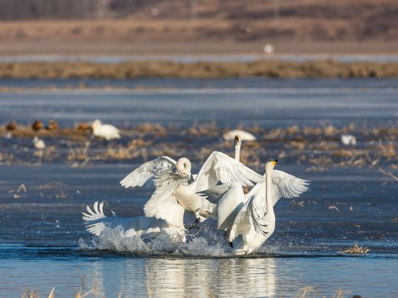 Baishi Reservoir