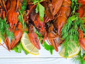 APANG CRAYFISH