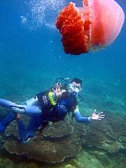 Shimeiwan Jiajing Island Diving Base