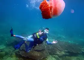 Shimeiwan Jiajing Island Diving Base