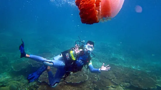 Shimeiwan Jiajing Island Diving Base