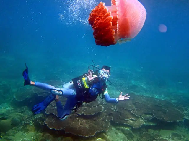 Scuba Diving in Wanning