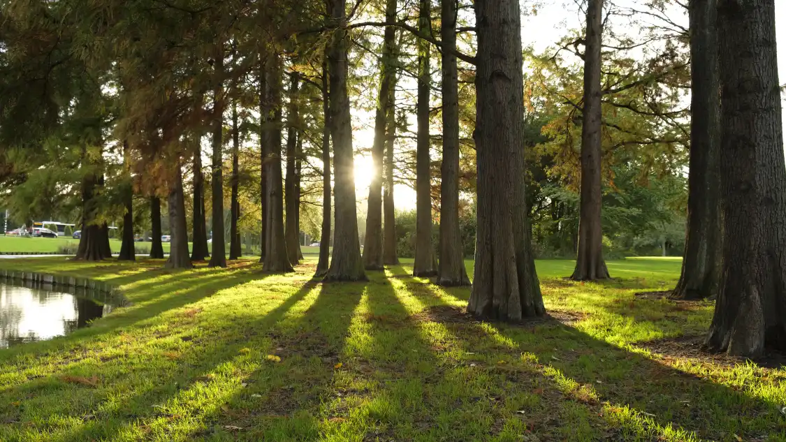 푸커우 공원 주변 호텔