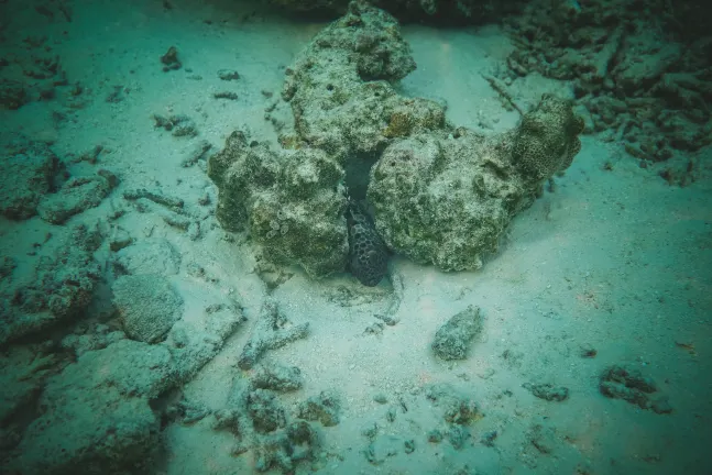 Отзывы об отеле Vayna Boutique Koh Chang